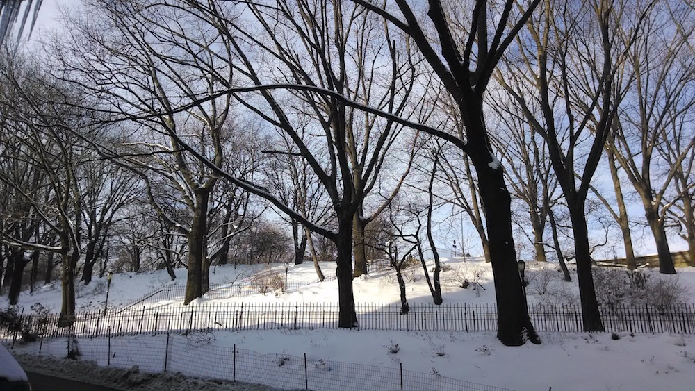 Riverside Park in snow